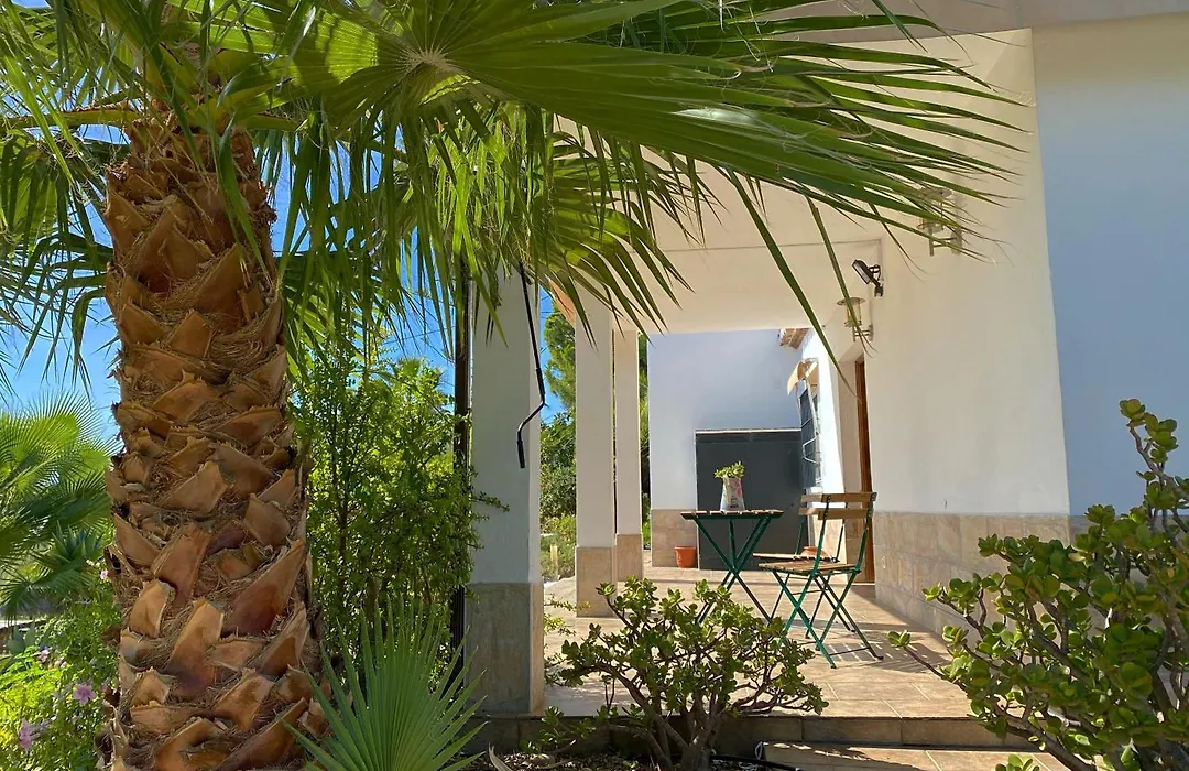 Las Palmeras-1